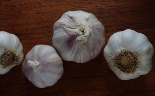 Close-up of white garlic on table