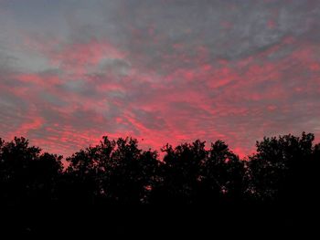 Silhouette trees against sky at night