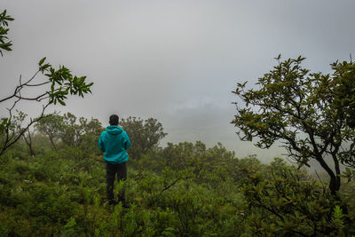 Rear view of man looking at trees against sky