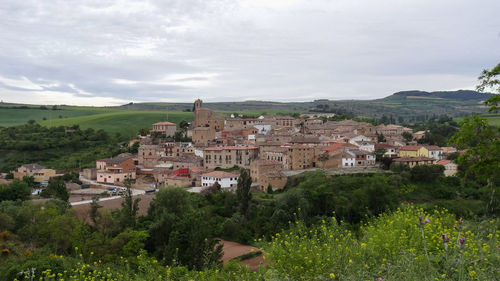 Townscape by trees and houses against sky