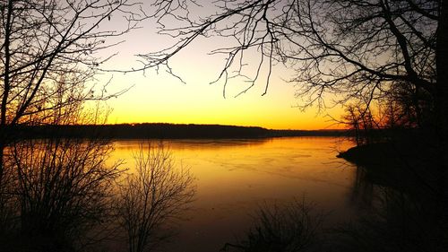 Reflection of bare trees in calm lake