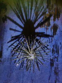 Close-up of firework display