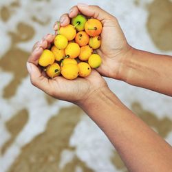 Close-up of hand holding fruits