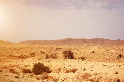 Scenic view of desert against sky