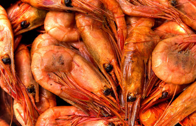 Full frame shot of shrimps at market