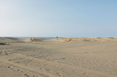 People on beach against clear sky