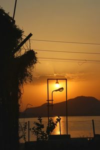 Silhouette tree by sea against orange sky