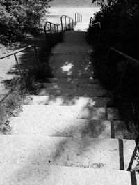Footpath leading towards railing