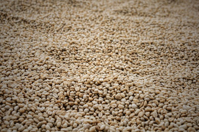 Full frame shot of roasted coffee beans