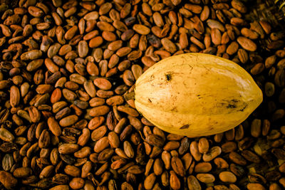 High angle view of coffee beans
