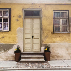 Exterior of house with closed door and windows while potted plant by staircase