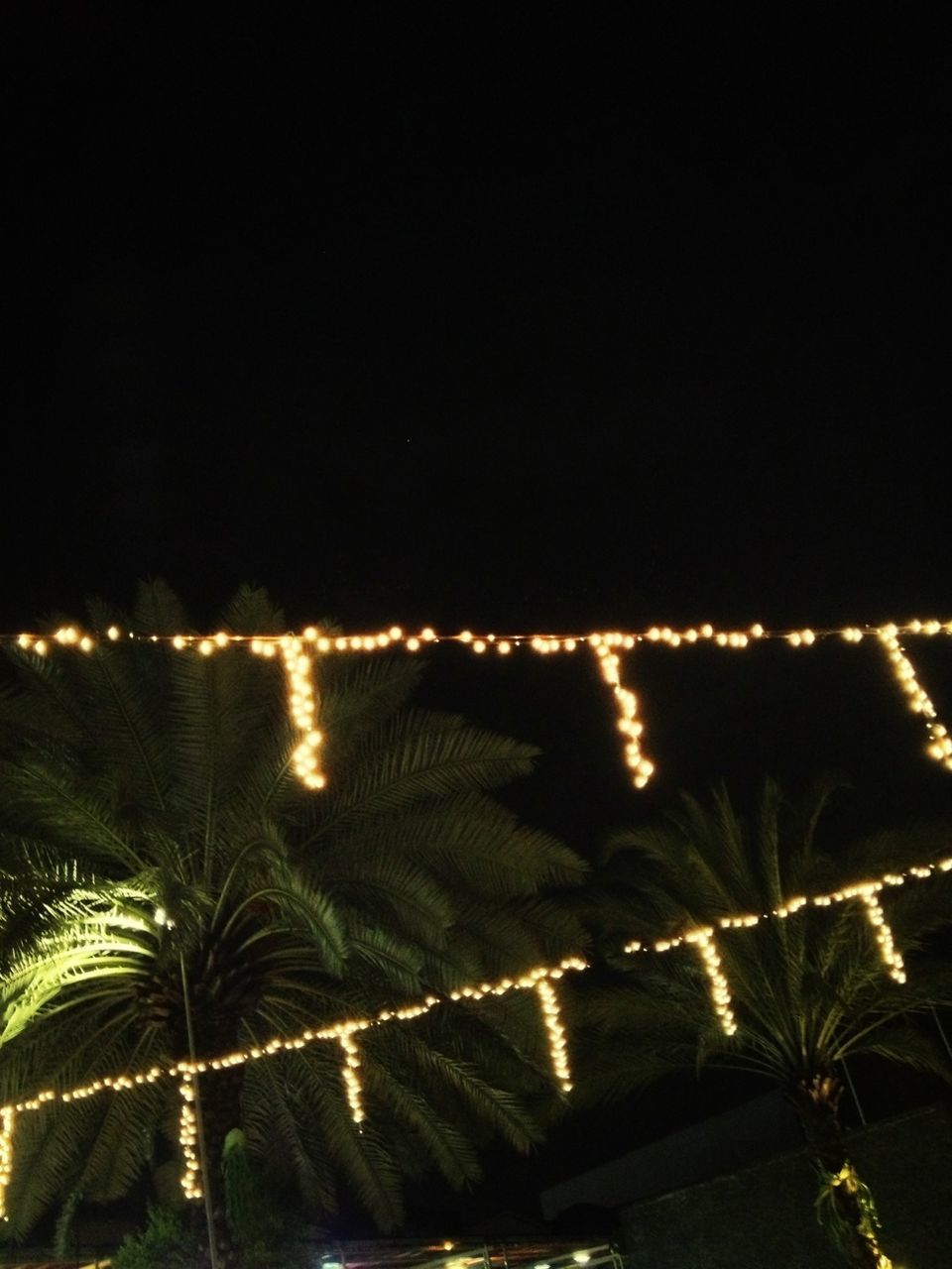 night, illuminated, palm tree, clear sky, tree, growth, copy space, nature, building exterior, tranquility, sky, built structure, outdoors, architecture, tranquil scene, beauty in nature, no people, scenics, high angle view, city