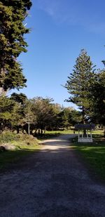 Road amidst trees against clear sky