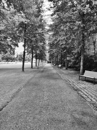 Empty road along trees