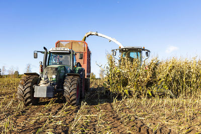 Harvester and tractor harvesting corn