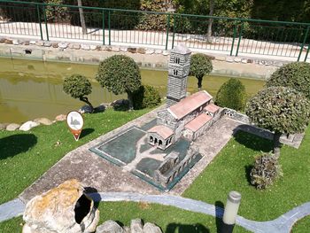 High angle view of pigeons in garden