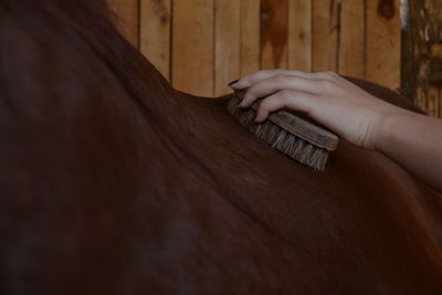 Cropped hand of woman cleaning horse at barn
