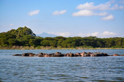 Scenic view of lake against sky