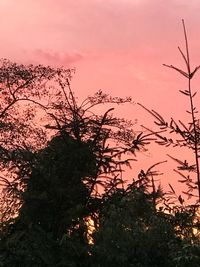 Low angle view of silhouette tree against sky at sunset