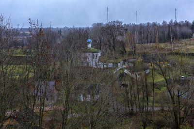 Plants and trees on field against sky