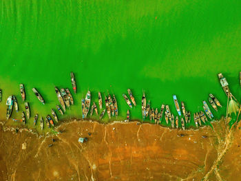 High angle view of turtle swimming in sea