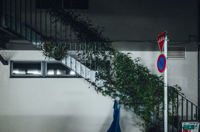 Flag against built structure and plants