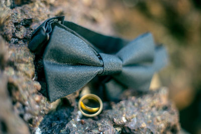 Close-up of crab on rock