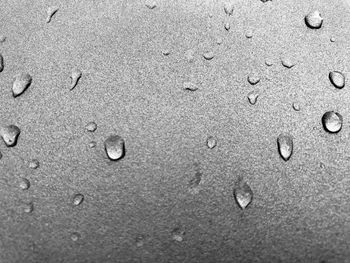 Close-up of footprints on wet sand