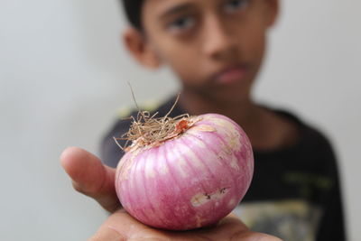 Close-up of boy holding onion