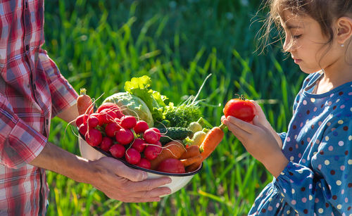 Midsection of man holding vegetable basket in front of girl with tomato