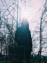 Sun shining through trees