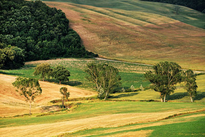 Scenic view of rural landscape