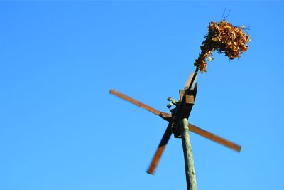 Close up of umbrella