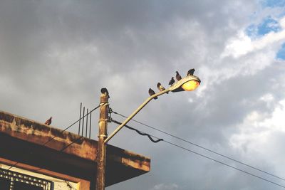 Low angle view of bird perching on street light