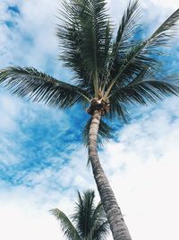 Low angle view of palm tree against sky