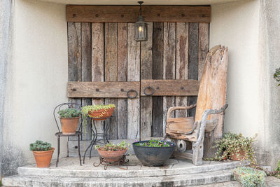 Potted plants on old wall