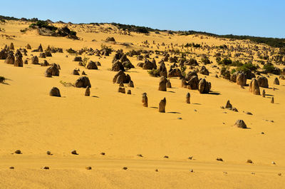 Panoramic view of people on landscape against sky