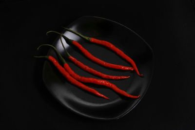 Close-up of red chili pepper against black background