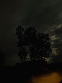 Silhouette trees on field against sky at night