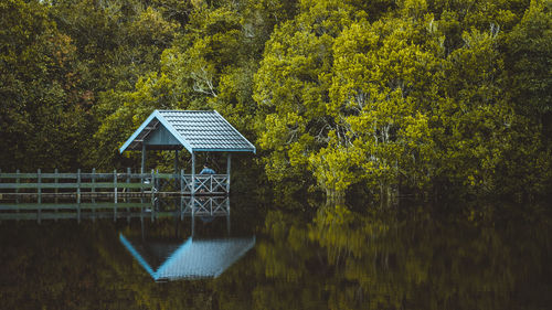 Pier with gazebo over lake in forest