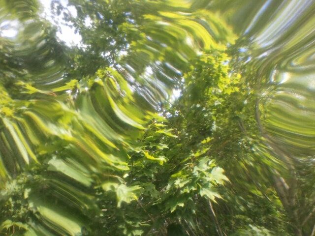 water, full frame, freshness, backgrounds, close-up, transparent, nature, green color, reflection, beauty in nature, waterfront, purity, refreshment, motion, drop, growth, rippled, no people, high angle view, day