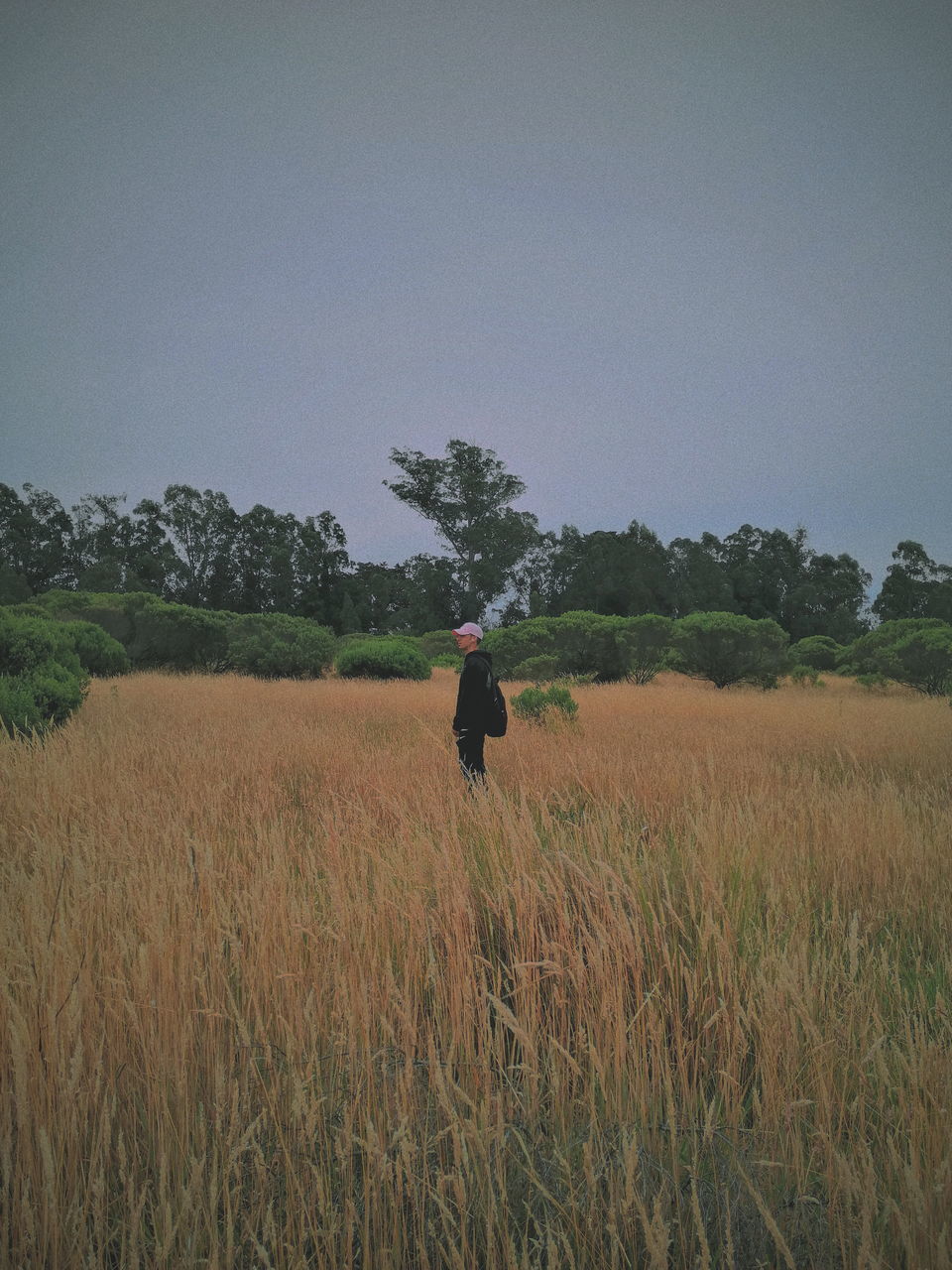 MAN STANDING IN FIELD