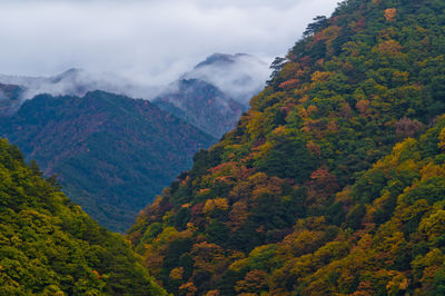 Mountain range after autumn rain. autumn colors