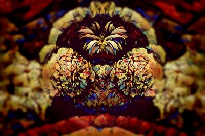 Close-up of multi colored flower