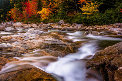 Stream flowing through rocks in forest