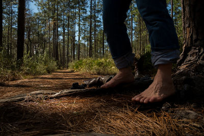 Low section of man in forest