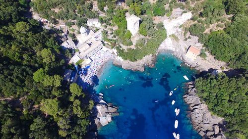 High angle view of trees