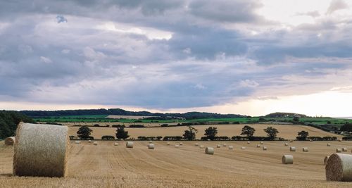 Hale bales on field against cloudy sky