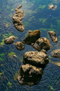 Landscape with sea stones. view from above. montenegro