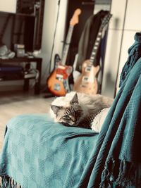 Portrait of cat sleeping on bed at home
